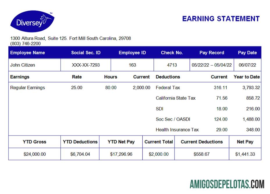 Recibo de pagamento da empresa de bens domésticos Diversey dos EUA baixar para verificação